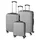 Kingston Koffer-Set 3-tlg. silber/lila