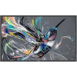 Philips 55BDL3550Q Signage Display 138,7 cm (55 Zoll) 4K-UHD, IPS-Panel, 400cd/m2, 18/7, Android, LAN