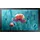 Samsung QB13R-T 13"