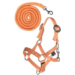 HKM Halfter und Strick Hobby Horsing Basic - schwarz - schwarz
