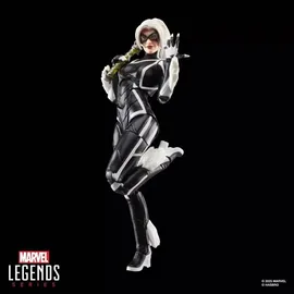 Hasbro Marvel Legends Series Gamerverse Black Cat Felicia Hardy