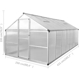 vidaXL Gewächshaus Aluminium Silber Transparent 3,8 mm 10,53 m2