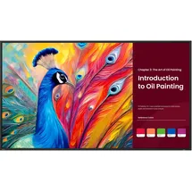 BenQ SH7504 75"