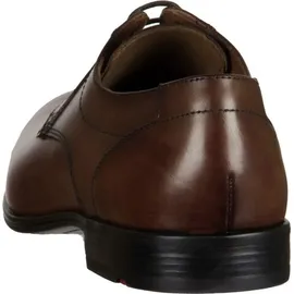 LLOYD Osmond braun 40