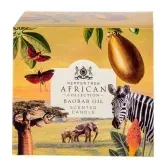 Baobab Duftkerze 200 ml
