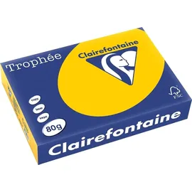 Clairefontaine Kopierpapier 1978C A4 80g, sonnenblumengelb 500Bl.