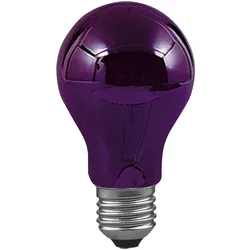 Paulmann Schwarzlicht AGL 75W E27
