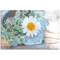 Artland Leinwandbild »Zarte Margeriten Blüte«, Blumen, (1 St.), auf