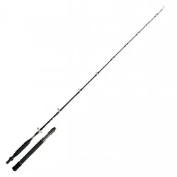Shimano Meeresrute Tyrnos B Trolling Lite, 203cm