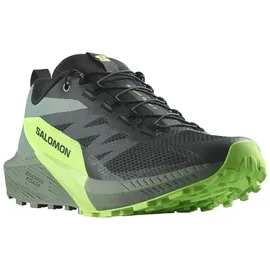 Salomon Sense Ride 5 Herren Black / Laurel Wreath / Green Gecko 40