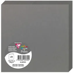 Pollen 250x Doppelkarte Pollen 135x135mm 210g - Stahl 2893C