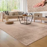 Paco Home Moderner Wohnzimmer Teppich Kurzflor Waschbar Weich Felloptik Anti-rutsch Grösse 200x280 cm,