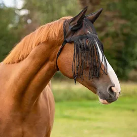 QHP Fliegenfransen mit Ohren Warmblut Schwarz