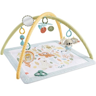 Fisher-Price Simply Senses Newborn Gym