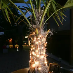 LED Solar Lichterkette Draht 100 LED L: 9,9m Lichtsensor für Außen Garten Party