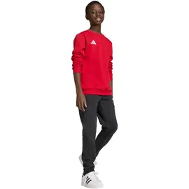 adidas Entrada26 Red 176