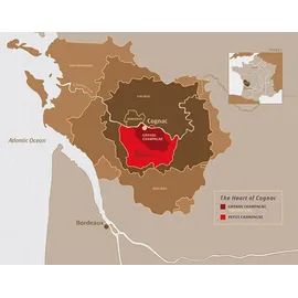 Remy Martin 40 % vol 0,7 l Geschenkbox