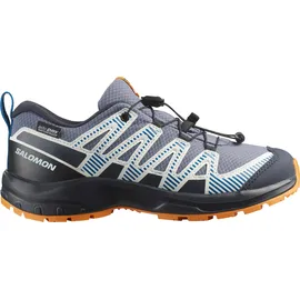 Salomon XA Pro V8 Kinder Grau / Silber 34