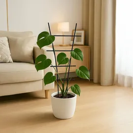Relaxdays Pflanzenstütze 79 x 35 cm Schwarz