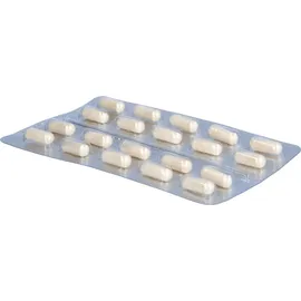 doloctan GmbH forte Kapseln 80 St.