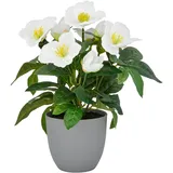 Creativ green Kunstblume CREATIV GREEN "Christrose", weiß, H:31cm, Polyester, Kunstpflanzen, mit üppiger Blütenpracht