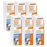 Nasenspray-ratiopharm® Erwachsene (6x 15ml)