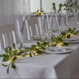 StarTrading Mistel Grün