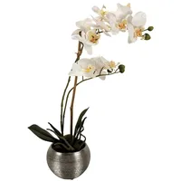 Online fuchs Weiße Orchideen Kunstblume, Künstliche Blumen, Pflanzen im