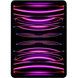 Apple iPad Pro 11" (4. Generation 2022) 512 GB Wi-Fi space grau