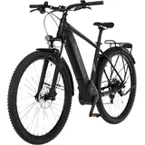 FISCHER E-Bikes Terra 5.0i 2022 29 Zoll RH 51 cm schwarz matt