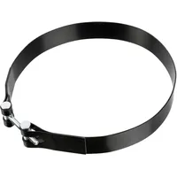 FEBI bilstein Halteband, Druckluftbehälter