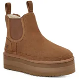 Chestnut 41
