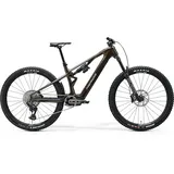 Merida eONE-SIXTY SL 8000 29 Zoll RH 400 cm gold