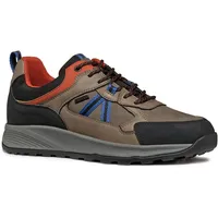 GEOX Herren U TERRESTRE B ABX E Sneaker, Dove