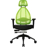 TOPSTAR Open Art 2010