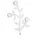 Foppapedretti 9900407210 Appendialbero Kleiderbügel Bco