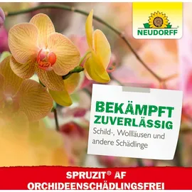 NEUDORFF Spruzit AF Orchideen Schädlingsfrei Insektizid 250 ml