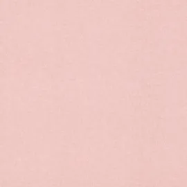 Rasch Textil Rasch Vliestapete Bambino XIX 252873 Uni Rosa 10,05 m x 0,53 m