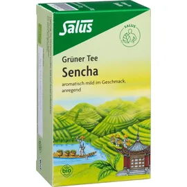 SALUS Grüner Tee Teebeutel 15 St.