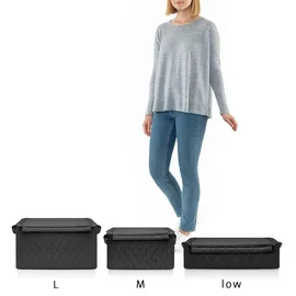 Reisenthel Aufbewahrungsbox Storagebox M 1-tlg. schwarz