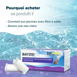 Bayzid Höfer Chemie Gmbh - 4x 1 kg Flockkartusche für Pools
