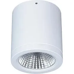 LTS LED-Anbau-DownlightButton BTNM 101.30.55 ws