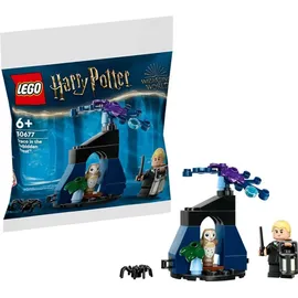 LEGO Harry Potter Draco im Verbotenen Wald 30677