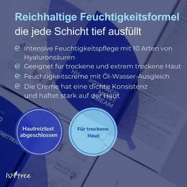 Isntree Hyaluronic Acid Moist Cream 100 ml