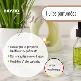 Höfer Chemie SPA Duftöl Orange 10 ml