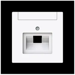 Busch-Jaeger Zentralscheibe 1-fach, UAE 1803-44G 2CKA001710A4219