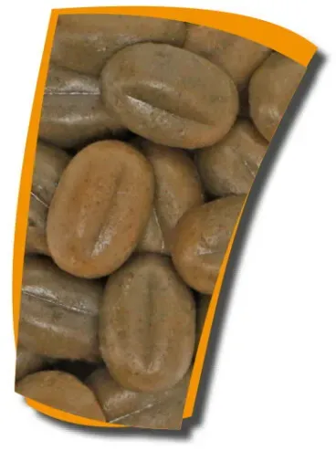 Dupla Zierfischfutter Gel-o-Drops 24 Hemp & Spirulina + Bugs & Proteins