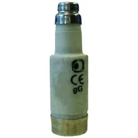 Pro-Tec Neozed-Sicherung träge PSID01 16A E14