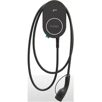 go-e Charger PRO Wallladestation Typ 2 (11 kW, 16 A) 6 m