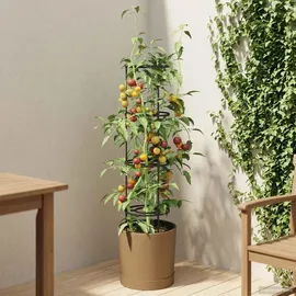 vidaXL Tomatenaufzucht Naturo ECO Ø 29 x 106 cm braun